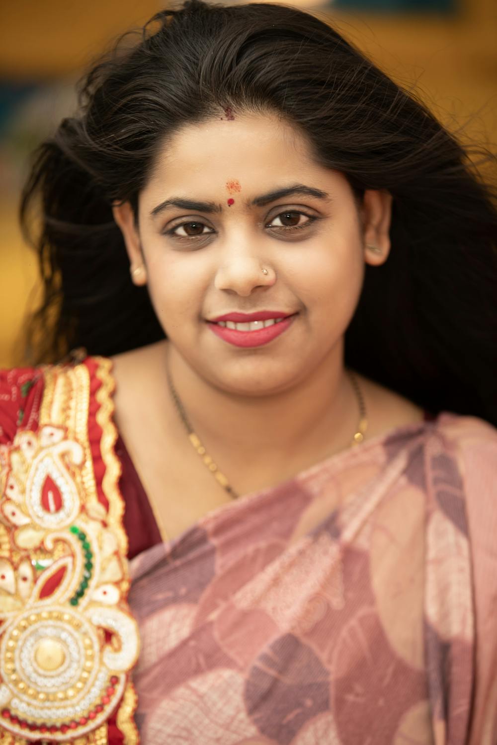 Representative Indian DSA partner portrait for Sunita Mehta